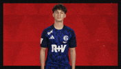 Schalke 04 Football GIF by Bundesliga