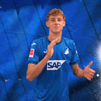 Sport Bundesliga GIF by TSG Hoffenheim