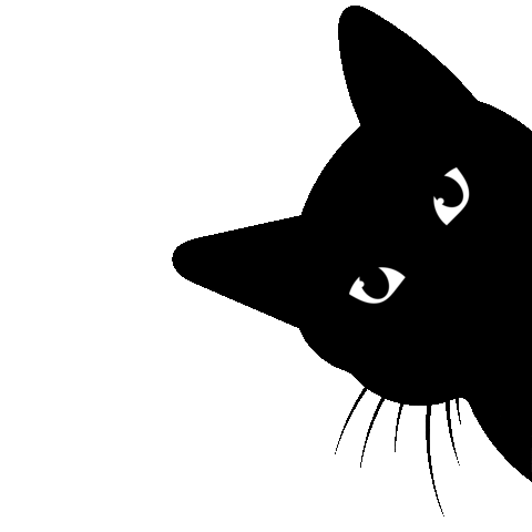 TabbyChique giphyupload black cat kat tabby Sticker