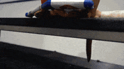 Ice Hockey Dog GIF by NHL