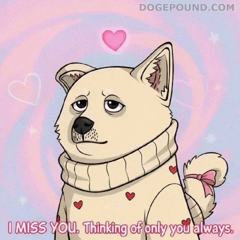 Valentines Day Love GIF by Doge Pound