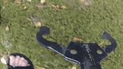 ramblignrubbisher  GIF