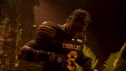 Tiger-Cats Cfl GIF by Hamilton Sports Group