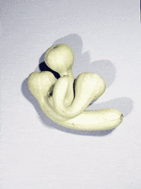Libe Tumitonnes Courgettes GIF by Liberation.fr