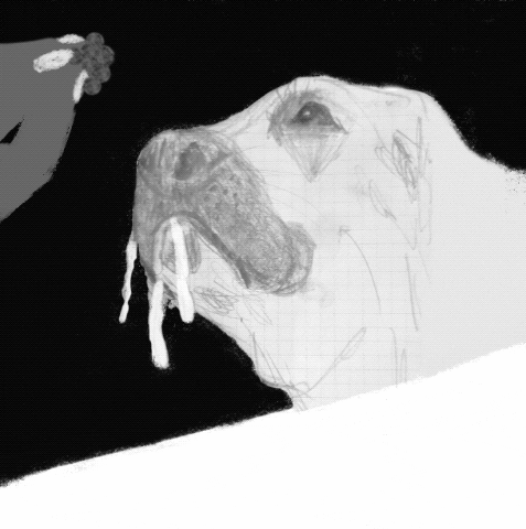 candiceevers giphyupload dog food puppy GIF