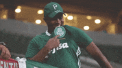 grande escudo GIF by SE Palmeiras
