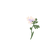 HO66 food flower vegan eat Sticker