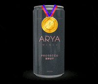 aryawines wine sparkling vinho prosecco GIF