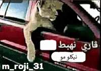 Mroji31 GIF