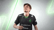 Point Esports GIF by Sprout