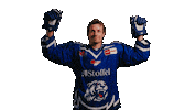 Sticker by Straubing Tigers