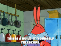 season 6 gullible pants GIF by SpongeBob SquarePants