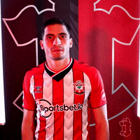 Perraud GIF by Southampton FC