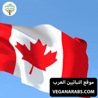 Canadian GIF by VeganArabs