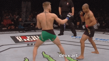 Conor Mcgregor Knockout GIF by DevX Art