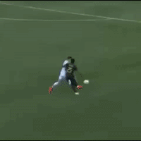 lavphi GIF by LA Galaxy
