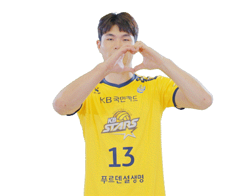 Kb스타즈 Sticker by KB STARS VOLLEYBALL CLUB