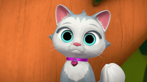 Dance Cat GIF by Moonbug