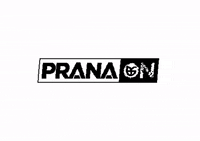 PranaOn vegan plant based pranaon GIF
