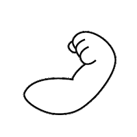 Character Body Sticker by everibiome