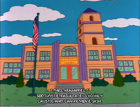 Season 2 School GIF by The Simpsons