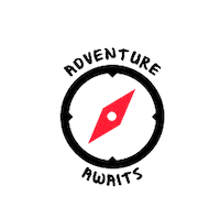 Travel Adventure Sticker by Contiki