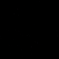Goal Hockey GIF by Eisbären Berlin
