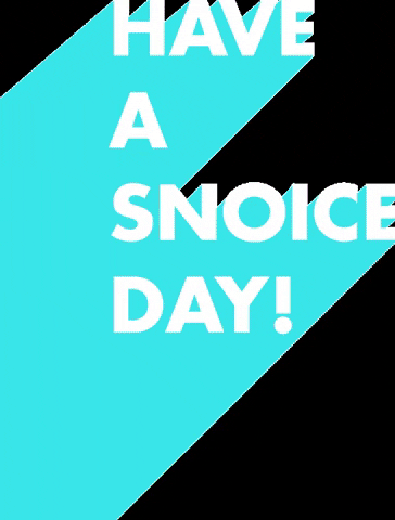 Snoice giphygifmaker snoice snoicesd GIF