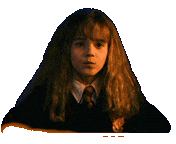harry potter STICKER