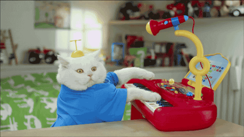 cat keyboard GIF by Cheezburger
