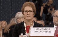 news impeachment impeachment inquiry impeachment hearings day two marie yovanovitch GIF