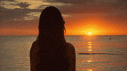 Beach Love GIF by Warner Bros. ITVP España