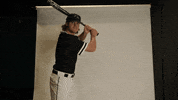 Nsu GIF by RiverHawk Sports