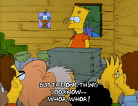 Season 1 GIF by The Simpsons