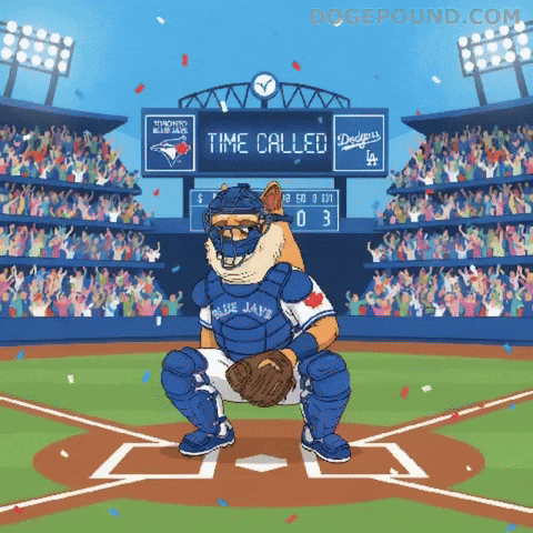 Sad Toronto Blue Jays GIF by Doge Pound