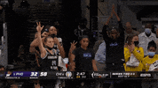 Happy Hands Up GIF by WNBA