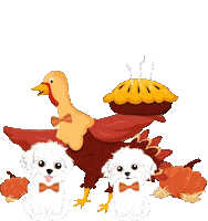 Dogs Thanksgiving Sticker by HammyandBrody