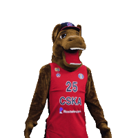 Sport Basketball Sticker by CSKA Moscow