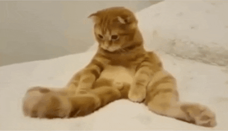 annoyed GIF
