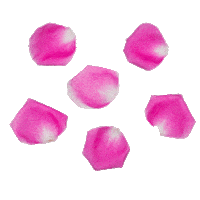 Flower Love Sticker by LAZY MOM