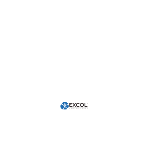 CentroStudiExcol giphyupload school homework studentlife Sticker