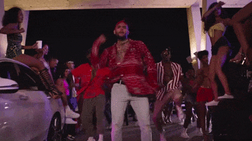 No Guidance GIF by Chris Brown