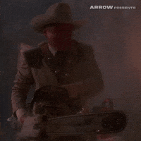 Texas Chainsaw Massacre Film GIF by Arrow Video