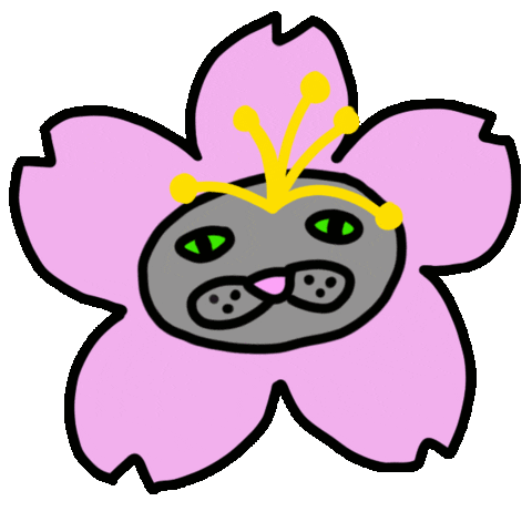 Cherry Blossom Pink Sticker