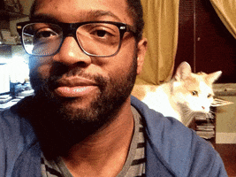 cat what you talkin bout willis GIF by Baratunde Thurston
