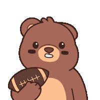 Super Bowl Win Sticker by BEARISH