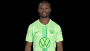 Germany No GIF by VfL Wolfsburg