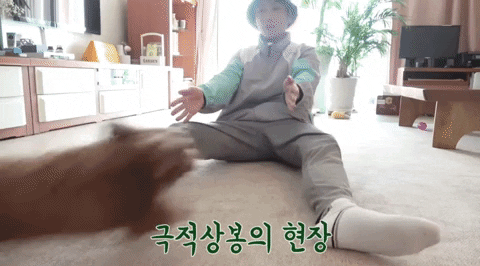 insight_yj giphygifmaker GIF