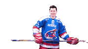 aihl Sticker by Newcastle Northstars