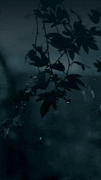 Remember Never Forget GIF